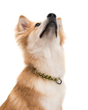 Load image into Gallery viewer, Running Man Dog Collar - Yellow
