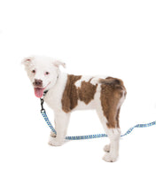 Load image into Gallery viewer, Logo Dog Leash - Blue
