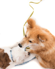 Load image into Gallery viewer, Running Man Dog Leash - Yellow
